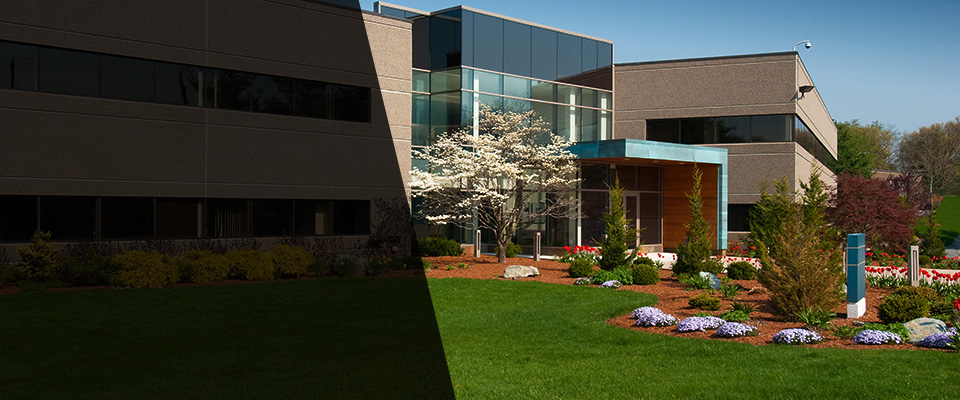 Clear Spring Landscapers
