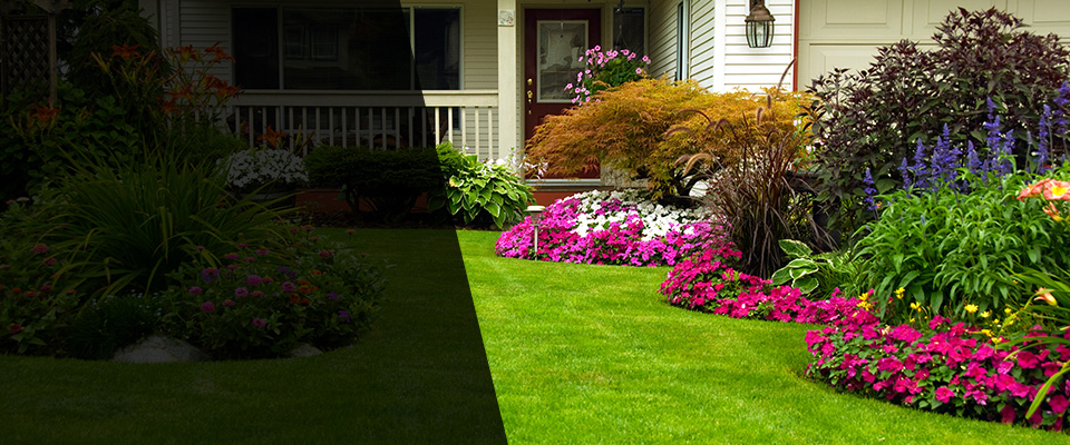 Clear Spring Landscapers